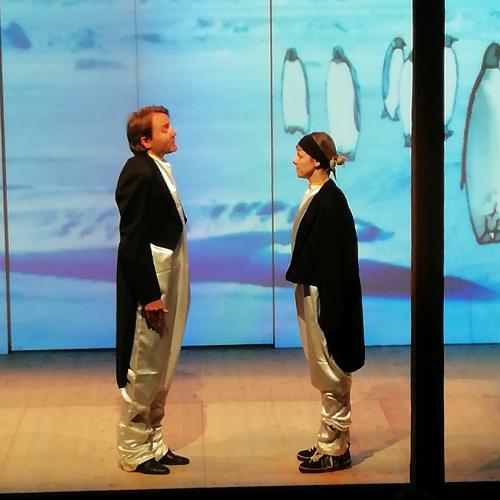 Steudltenn - Nelson der Pinguien