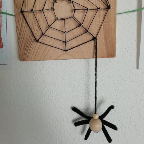 Spinne mit Netz