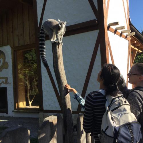 Am 12. September 2018 haben wir einen Ausflug zum Raritäten Zoo nach Ebbs gemacht