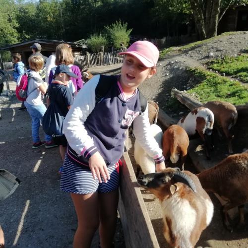 Am 12. September 2018 haben wir einen Ausflug zum Raritäten Zoo nach Ebbs gemacht