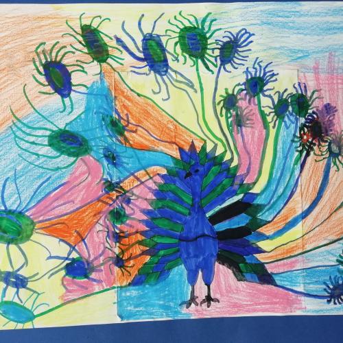 Pfau