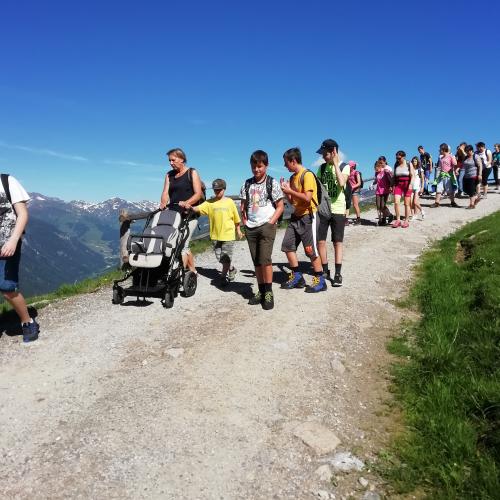 Wandertag Greifvogelschau