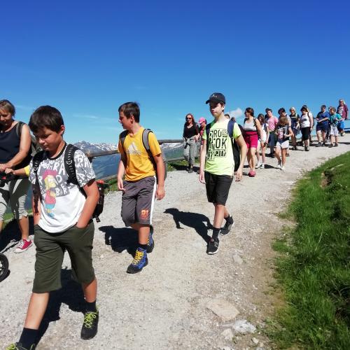 Wandertag Greifvogelschau