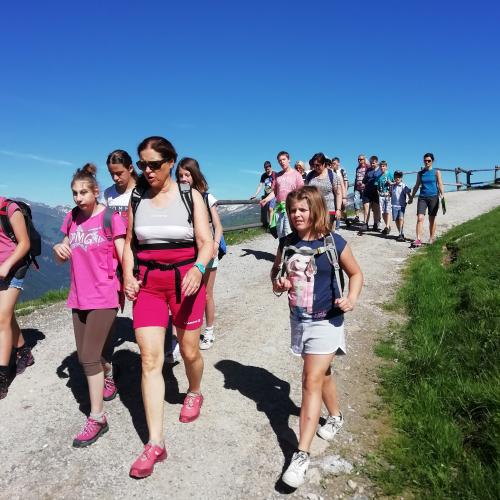 Wandertag Greifvogelschau