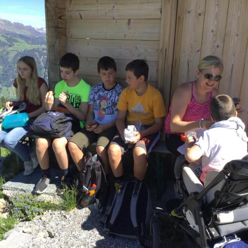 Wandertag Greifvogelschau