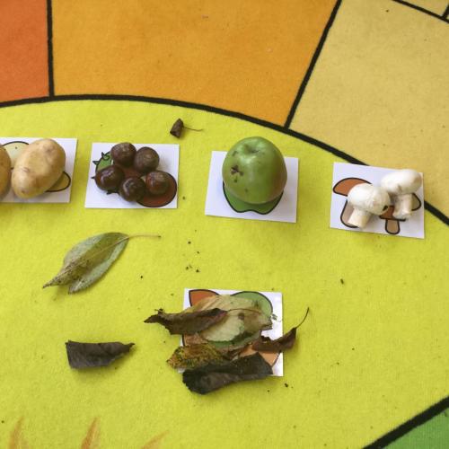 Aktionsgeschichte Herbst
