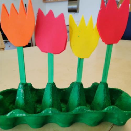 Tulpen