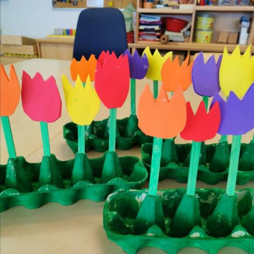 Tulpen