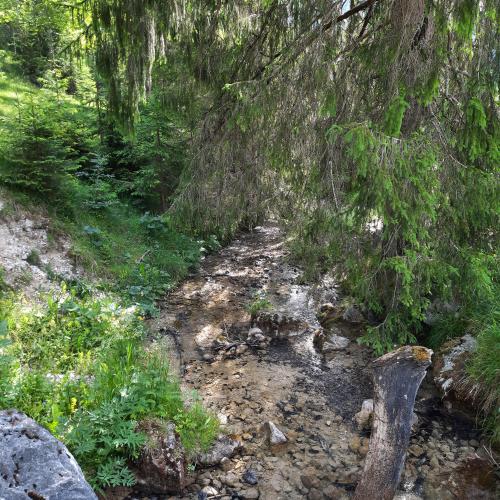 Wandertag Achensee