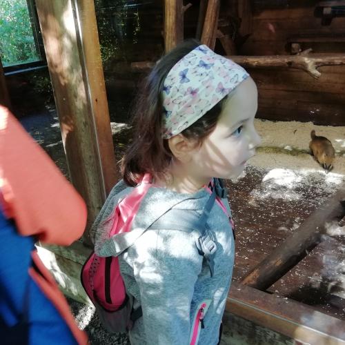 Wandertag Ebbs