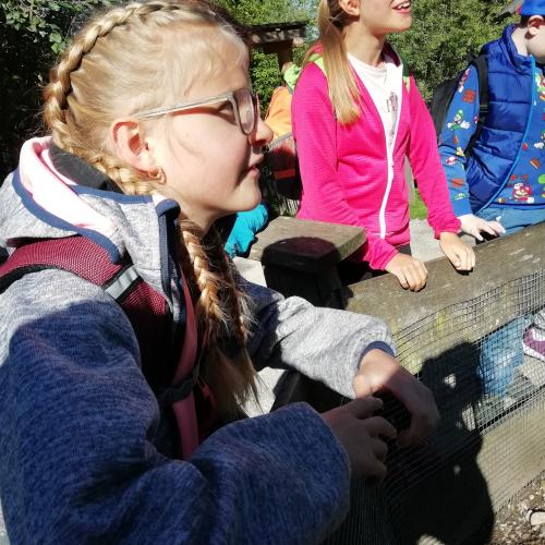 Wandertag Ebbs