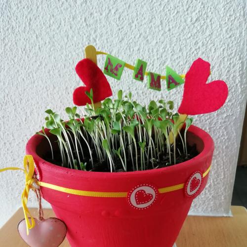 Alles Gute zum Muttertag