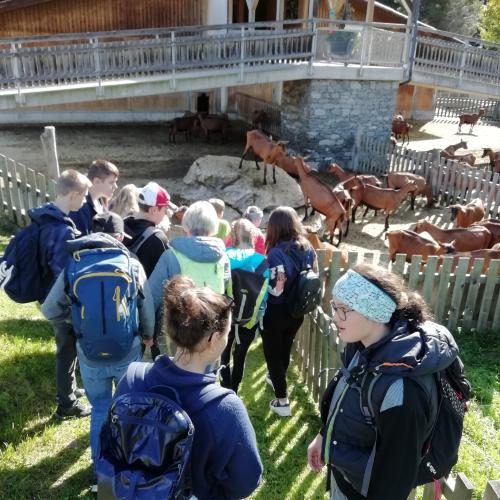 Wandertag, Erlebnissennerei