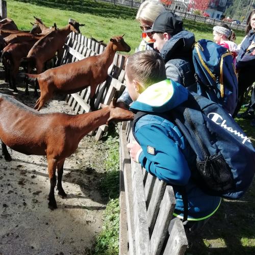 Wandertag, Erlebnissennerei