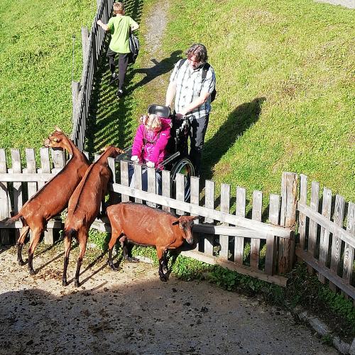 Wandertag, Erlebnissennerei