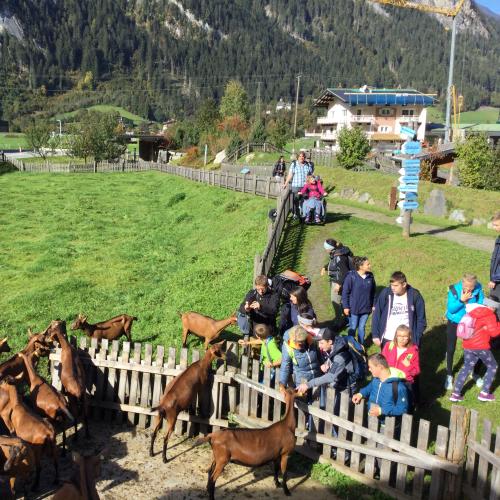 Wandertag, Erlebnissennerei
