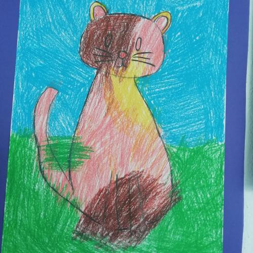 Quallen und andere Tiere