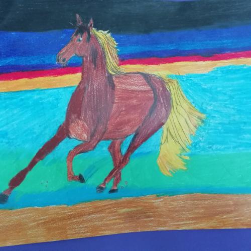 Quallen und andere Tiere