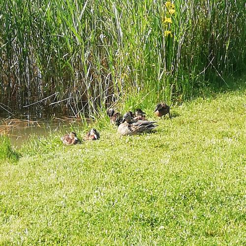Wandertag zum Bochra See