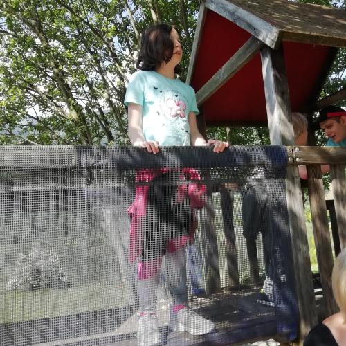 Wandertag zum Bochra See