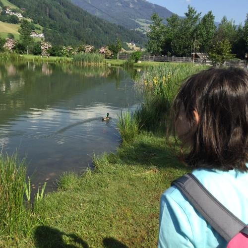 Wandertag zum Bochra See