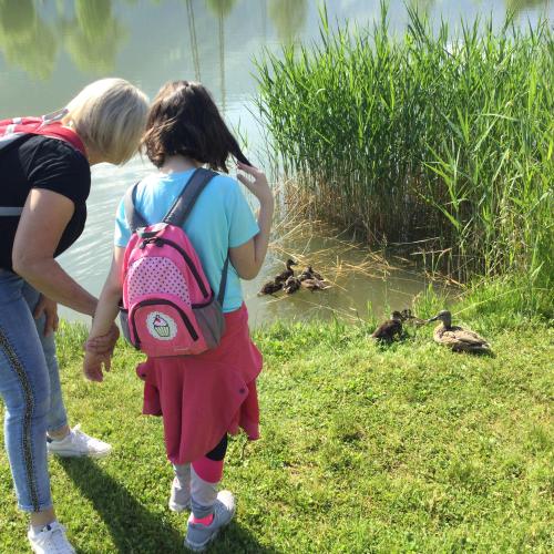 Wandertag zum Bochra See