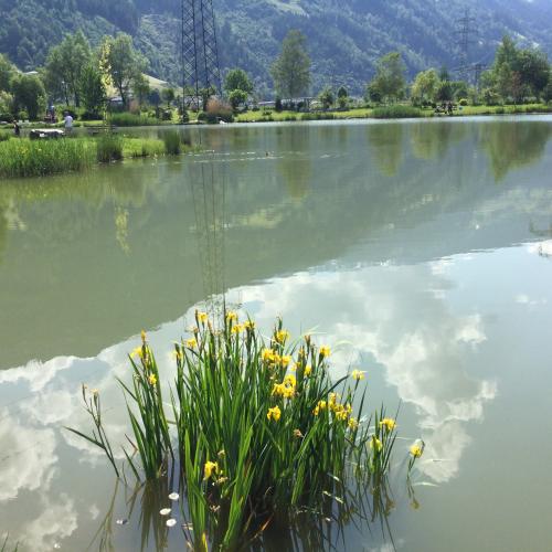 Wandertag zum Bochra See
