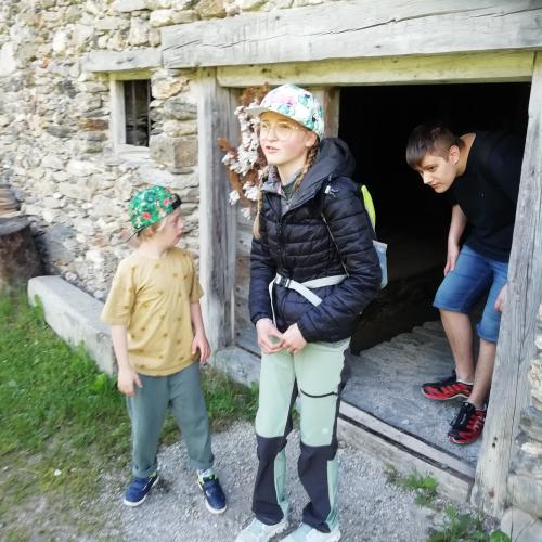 Höfemuseum