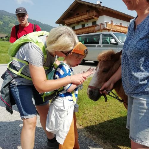 Hofbesichtigung beim Wermenerhof