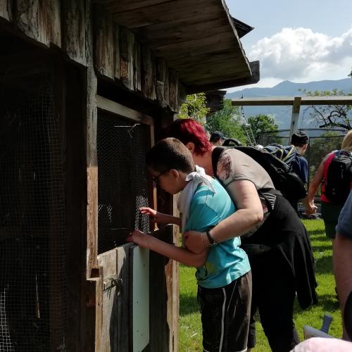 Hofbesichtigung beim Wermenerhof