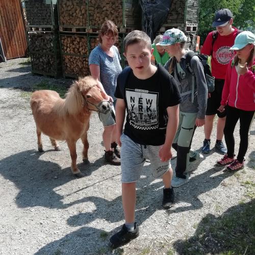 Hofbesichtigung beim Wermenerhof