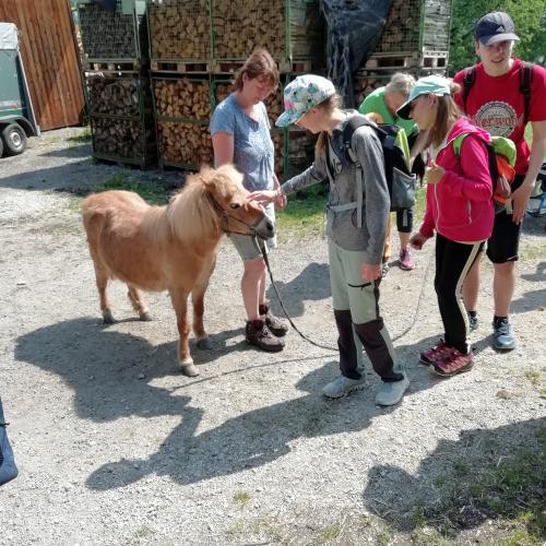 Hofbesichtigung beim Wermenerhof