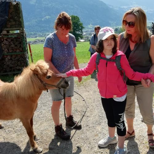 Hofbesichtigung beim Wermenerhof