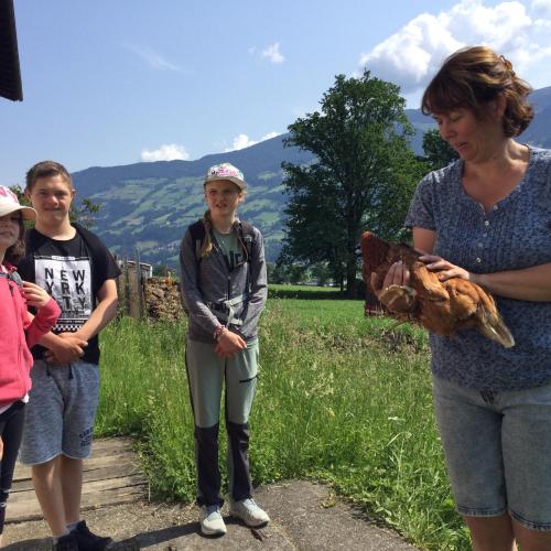 Hofbesichtigung beim Wermenerhof