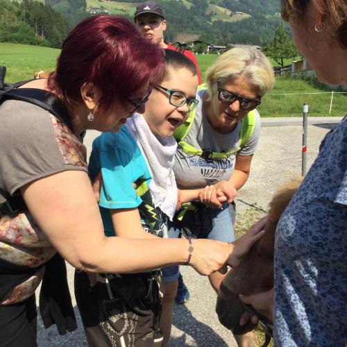 Hofbesichtigung beim Wermenerhof