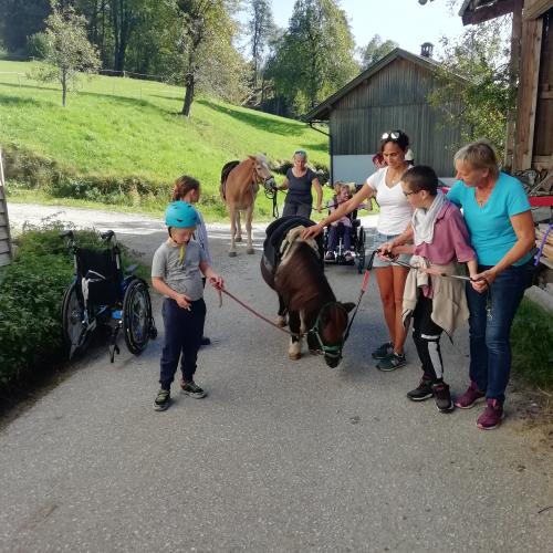 Tiergestütztes Lern- und Sinneswahrnehmungstraining
