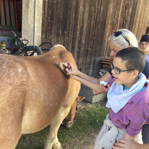 Tiergestütztes Lern- und Sinneswahrnehmungstraining