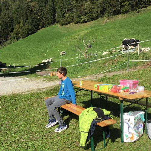 Tiergestütztes Lern- und Sinneswahrnehmungstraining