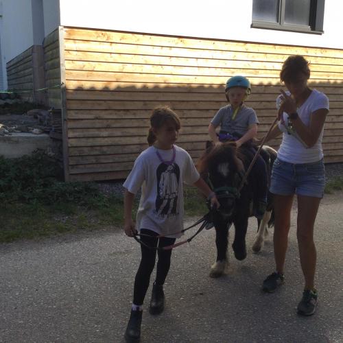 Tiergestütztes Lern- und Sinneswahrnehmungstraining